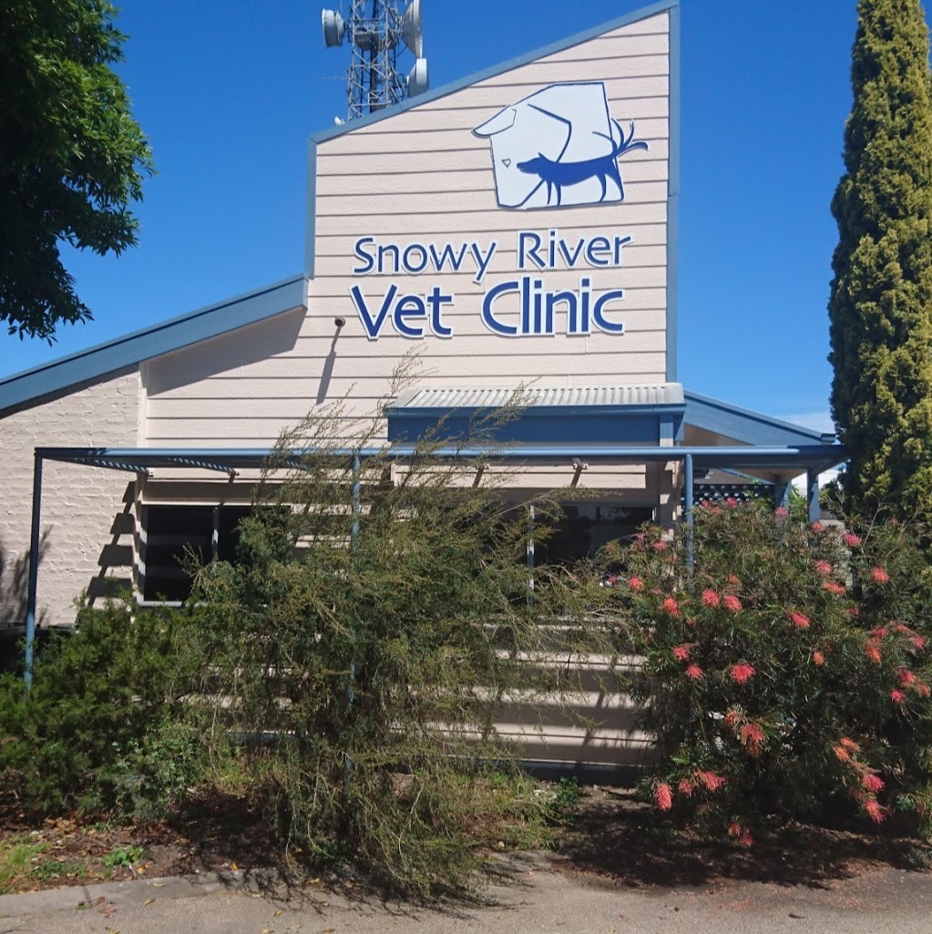 Snowy River Vet Clinic | 32 Salisbury St, Orbost VIC 3888, Australia | Phone: (03) 5154 2387