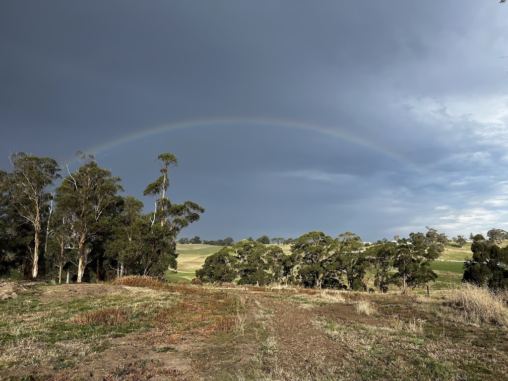 Andco farm | 24 Steele and Youngs Rd, Mardan VIC 3953, Australia | Phone: 0408 180 858