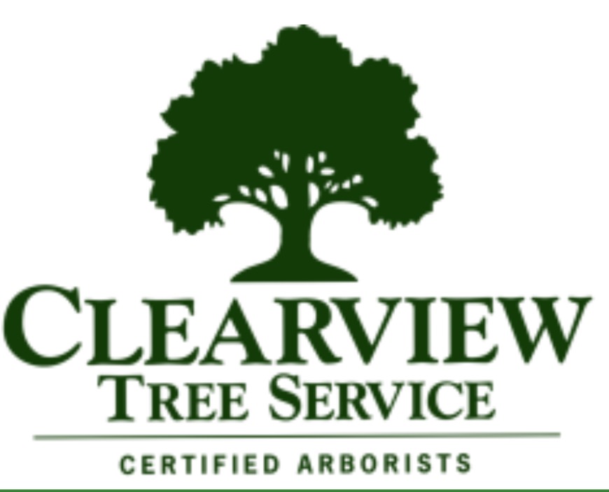 Clearview Tree Service | 16 Adeline Ave, Lake Munmorah NSW 2259, Australia | Phone: 0417 219 118