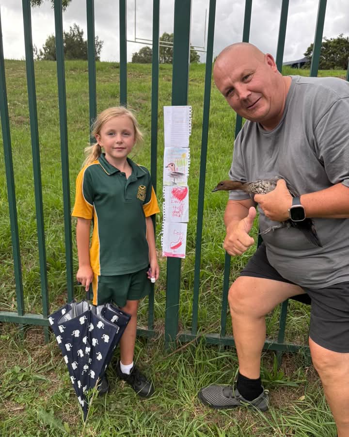 Help Save The Wildlife And Bushlands In Campbelltown | nymboida cres, Ruse NSW 2560, Australia | Phone: 0434 026 799