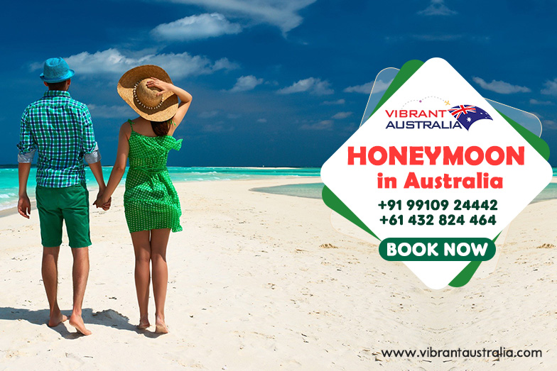 VIBRANT TOURS PTY LTD. | travel agency | 29 Jezebel St, The Ponds NSW 2769, Australia | 0432824464 OR +61 432 824 464