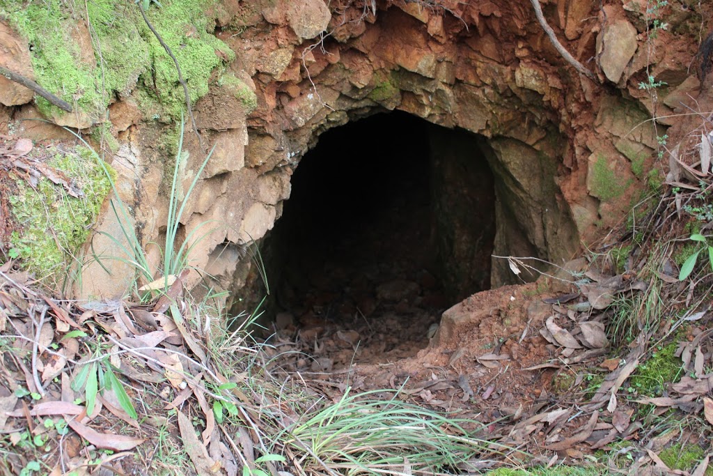 Beechworth Historic Goldfield Tours | 29 Last St, Beechworth VIC 3747, Australia | Phone: 0429 007 318