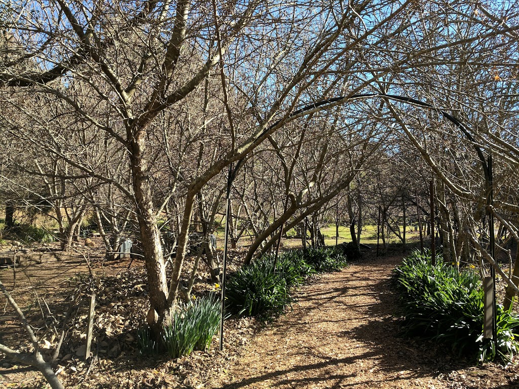 Blue Mountains Organic Community Gardens | park | 10 Victoria St, Katoomba NSW 2780, Australia | 0422652830 OR +61 422 652 830