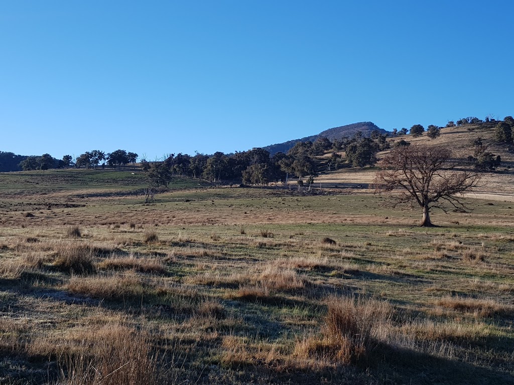 McCormacks Mountain Valley Trail Rides | 46 McCormacks Rd, Merrijig VIC 3723, Australia | Phone: 0428 573 708