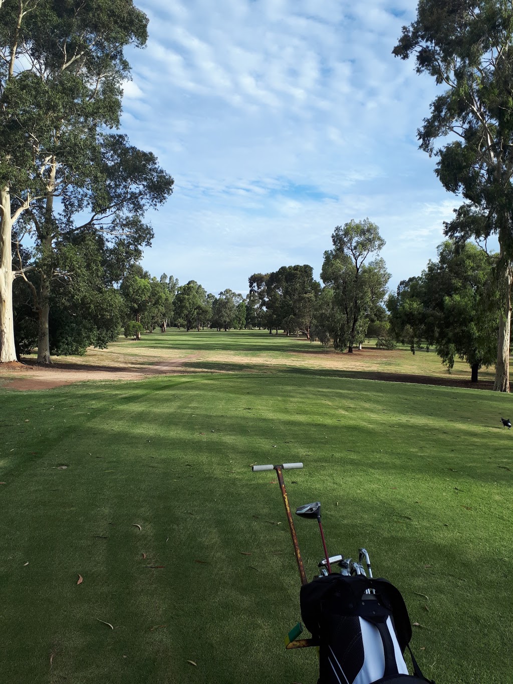 Hill Top Golf & Country Club | 71 Gowrie St, Tatura VIC 3616, Australia | Phone: (03) 5824 1689