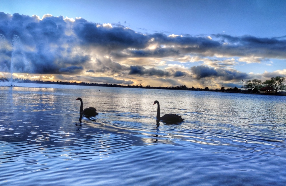 The Camboy Photography | 37 Mullingar Dr, Alfredton VIC 3350, Australia | Phone: 0478 479 552