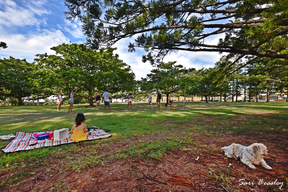 Bell Park Emu Park | park | 7 Hill St, Emu Park QLD 4710, Australia | 1300790919 OR +61 1300 790 919