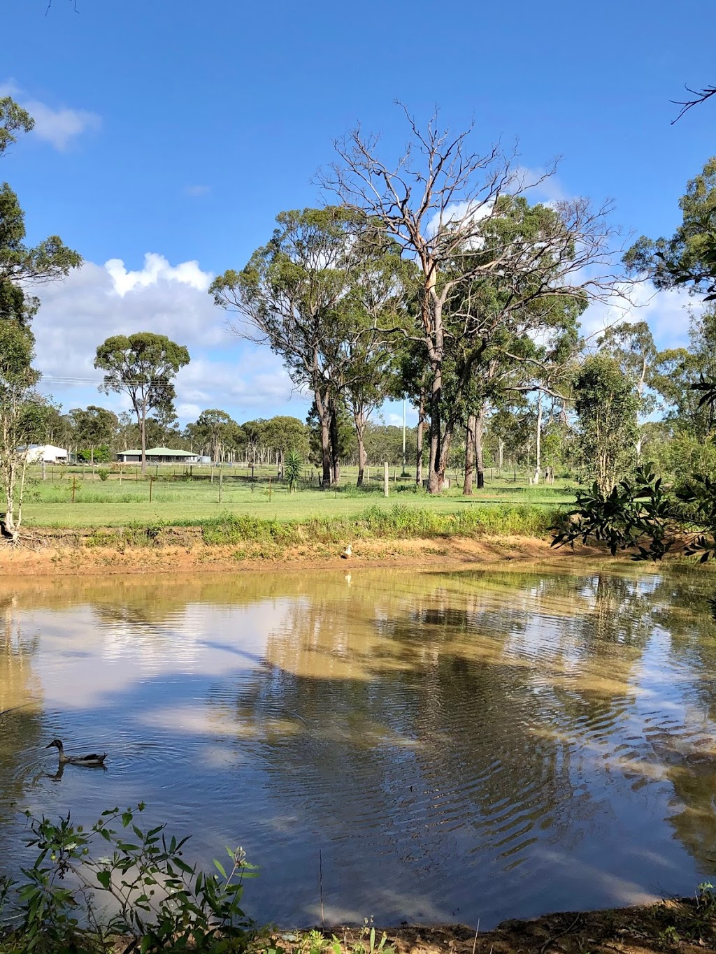 Harmony Garden | park | 16 Gregory St, Howard QLD 4659, Australia