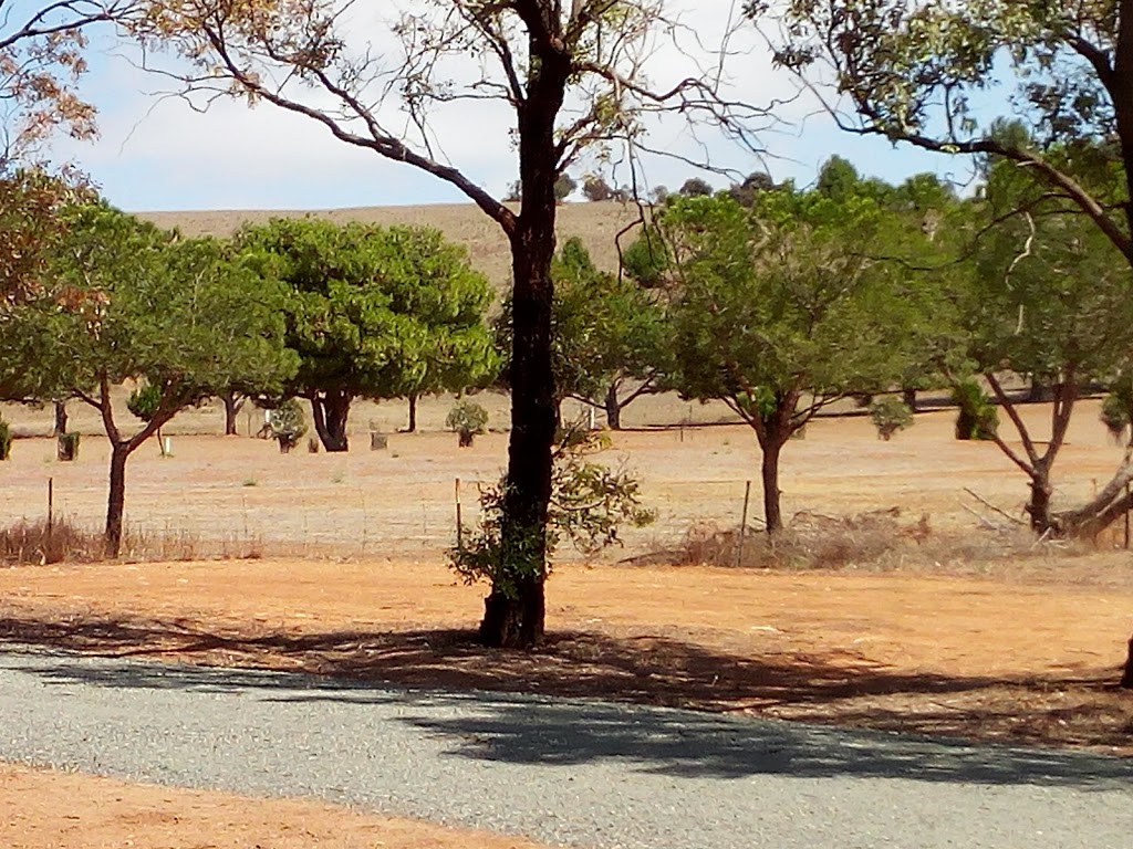 RPZ Back Flow Preventer | park | Oval Crescent, Eudunda SA 5374, Australia