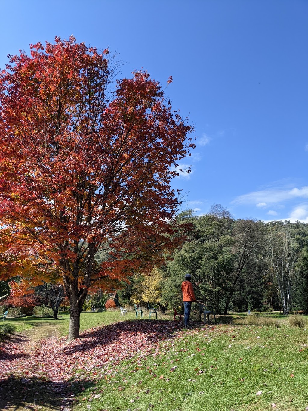 Mountain Fresh Trout & Salmon Farm | 10 Stony Creek Rd, Harrietville VIC 3741, Australia | Phone: (03) 5759 2558