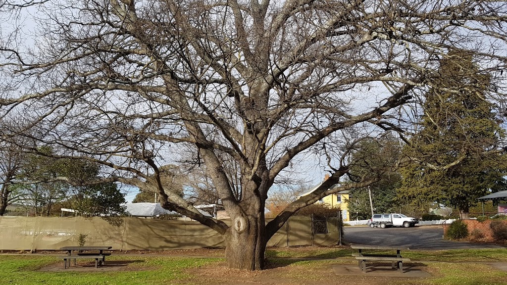 Braidwood Memorial Park | park | 170 Wallace St, Braidwood NSW 2622, Australia