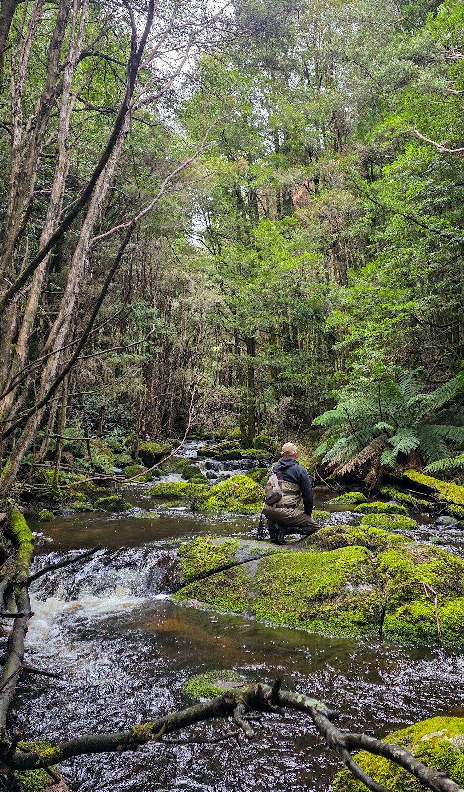 Baw Baw Fly Fisher | 2123 Willow Grove Rd, Hill End VIC 3825, Australia | Phone: 0466 446 533