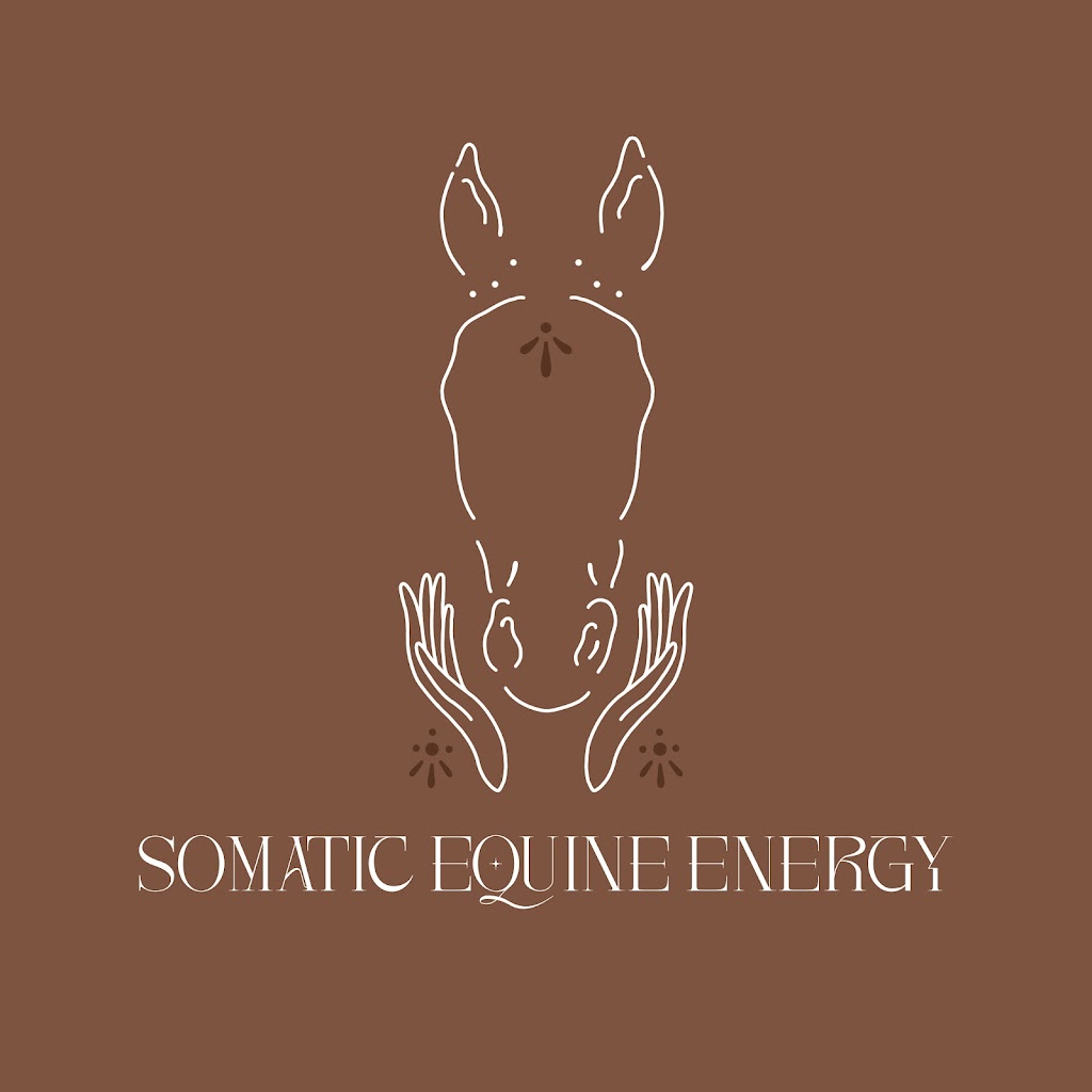 Somatic Equine Energy | Pearcedale Rd, Cranbourne South VIC 3977, Australia | Phone: 0434 437 637