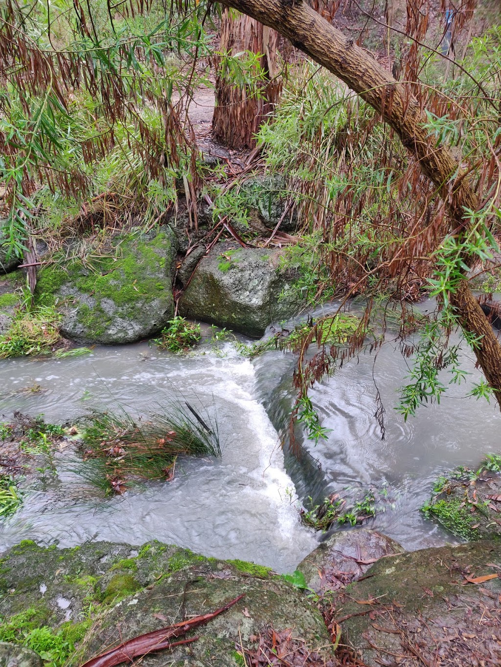 Damper Creek | park | Mount Waverley VIC 3149, Australia