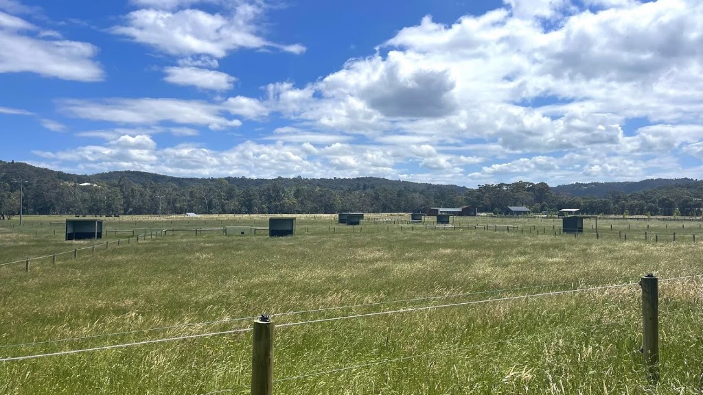 Toomah Farm Equine | 455 Toomuc Valley Rd, Pakenham VIC 3810, Australia | Phone: 0432 899 023