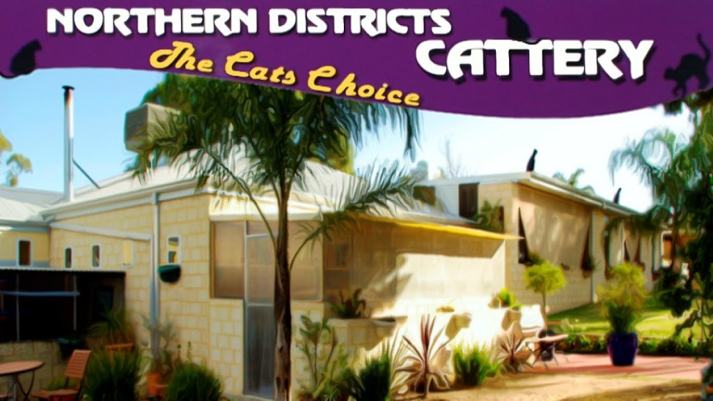 Northern Districts Cattery | veterinary care | 160 Pinjar Rd, Mariginiup WA 6078, Australia | 0893061312 OR +61 8 9306 1312