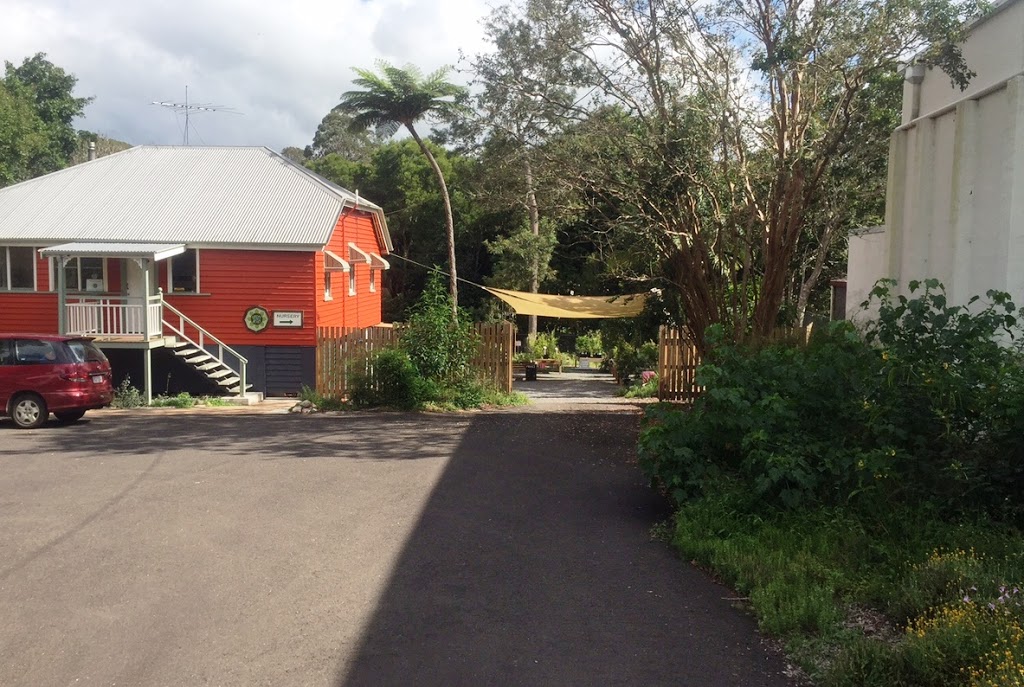 Forest Heart EcoNursery | 20 Coral St, Maleny QLD 4552, Australia | Phone: (07) 5435 2193