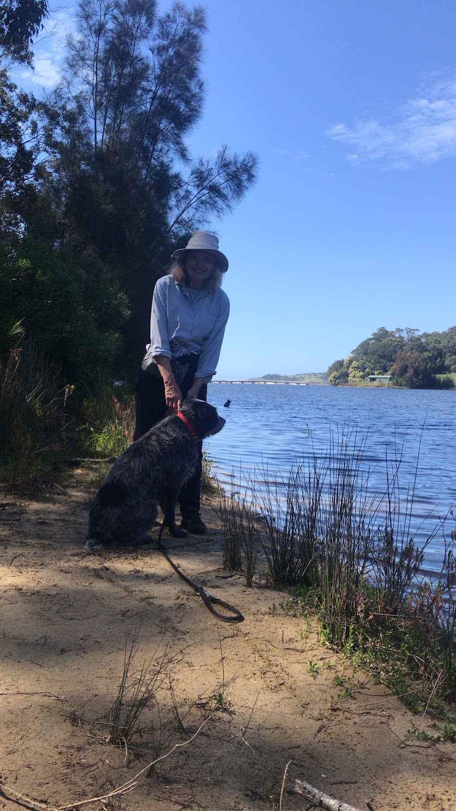 Tilba Walks Heritage Talks Walking Tours |  | The Meeting Spot, Corkhill Dr, Central Tilba NSW 2546, Australia | 0433114374 OR +61 433 114 374