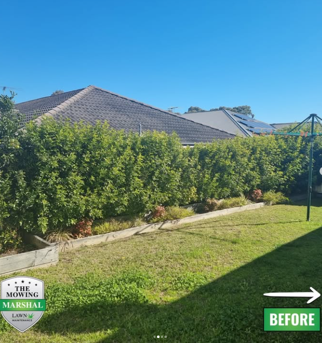 The Mowing Marshal | 92 River Rd, Windella NSW 2320, Australia | Phone: 0429 877 686