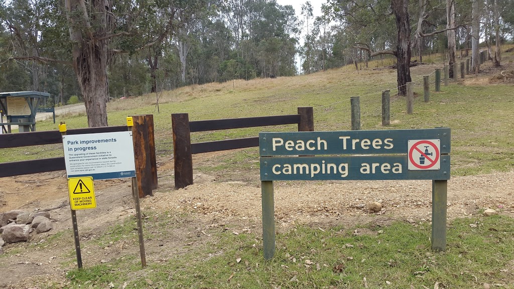 Peach Trees Camping Area | campground | Yabba Road, Jimna QLD 4515, Australia | 0754460925 OR +61 7 5446 0925