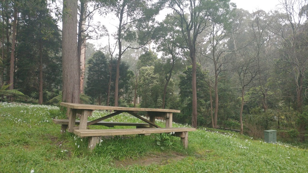 Puffing Billy Railway Station Picnic Area | Belgrave VIC 3160, Australia