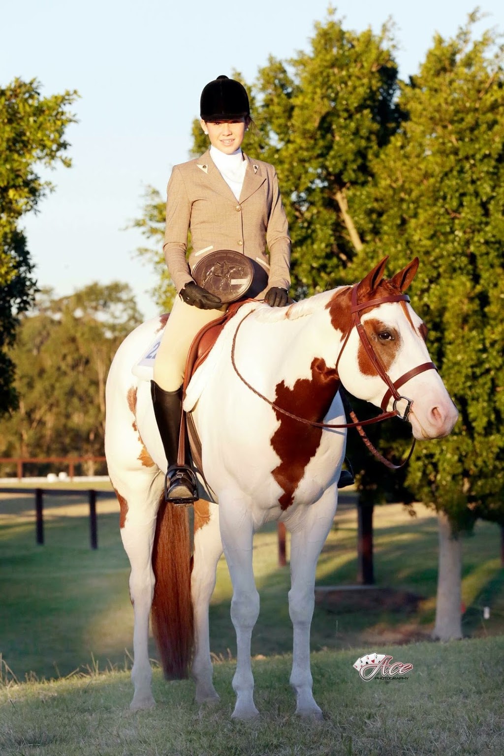 Macarthur Performance Horses | travel agency | 593 Lake Innes Dr, Lake Innes NSW 2446, Australia | 0488333799 OR +61 488 333 799