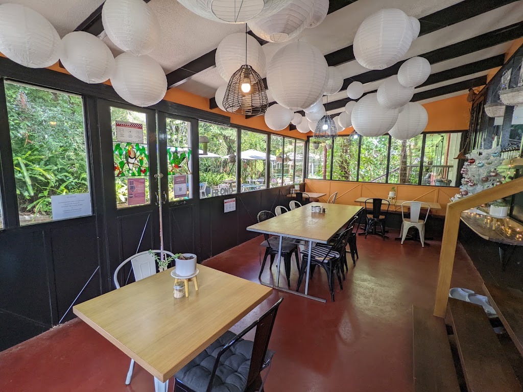 Frond Cafe & Gallery at Lake Eacham | cafe | 198 Lakes Dr, Lake Eacham QLD 4884, Australia | 0740953730 OR +61 7 4095 3730