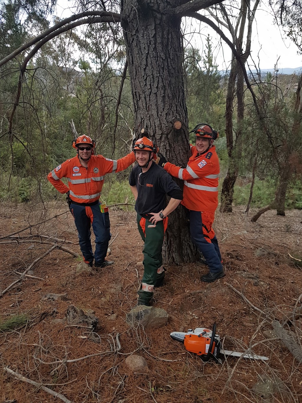 Climb High Tree Services | 880 Federal Hwy, Watson ACT 2602, Australia | Phone: 0402 089 736