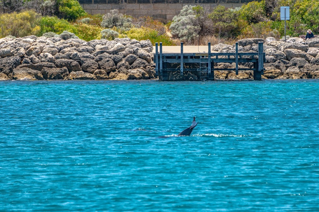 Dolphin Viewing Location Dawesville WA 6211 | park | 12 Surf View, Dawesville WA 6211, Australia