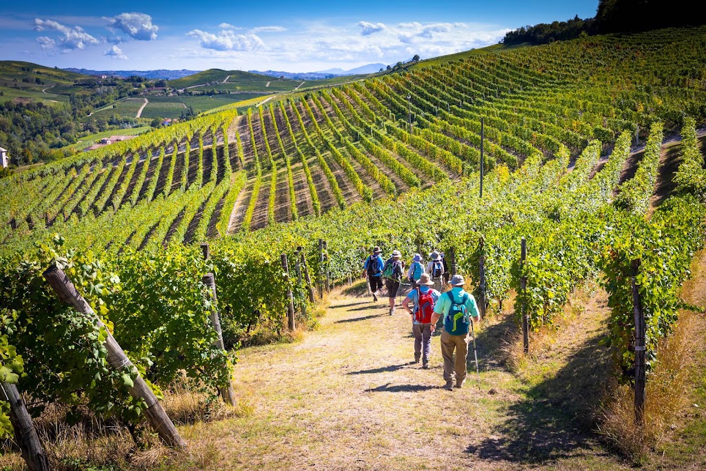 Walkabout Gourmet Adventures | 735 Callignee S Rd, Callignee VIC 3844, Australia | Phone: 0461 277 612