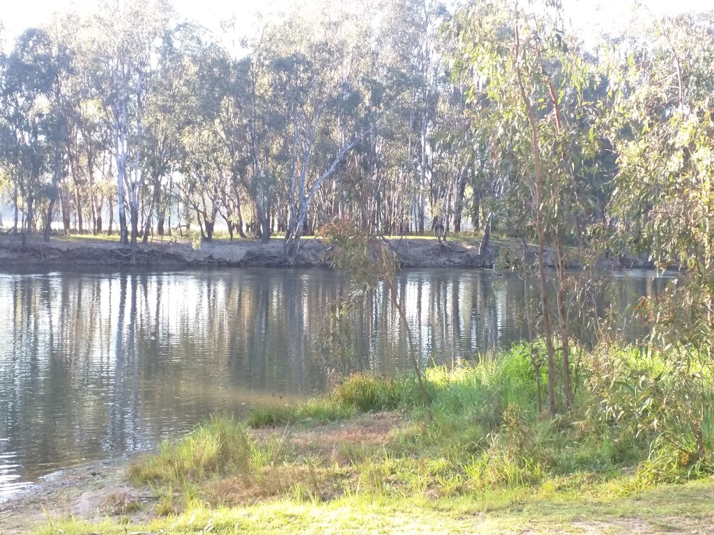 Lions Riverside Park | campground | Howlong NSW 2643, Australia