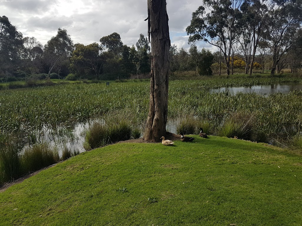 Balyang Sanctuary | 50 Marnock Rd, Newtown VIC 3220, Australia | Phone: (03) 5272 5272