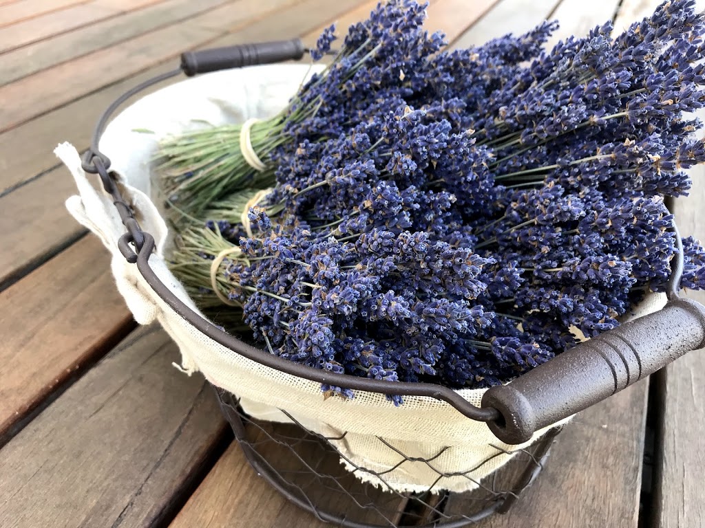 Wyoming Lavender Estate | food | Wyoming, 903 Mount Russell Rd, Mount Russell NSW 2360, Australia | 0439166117 OR +61 439 166 117
