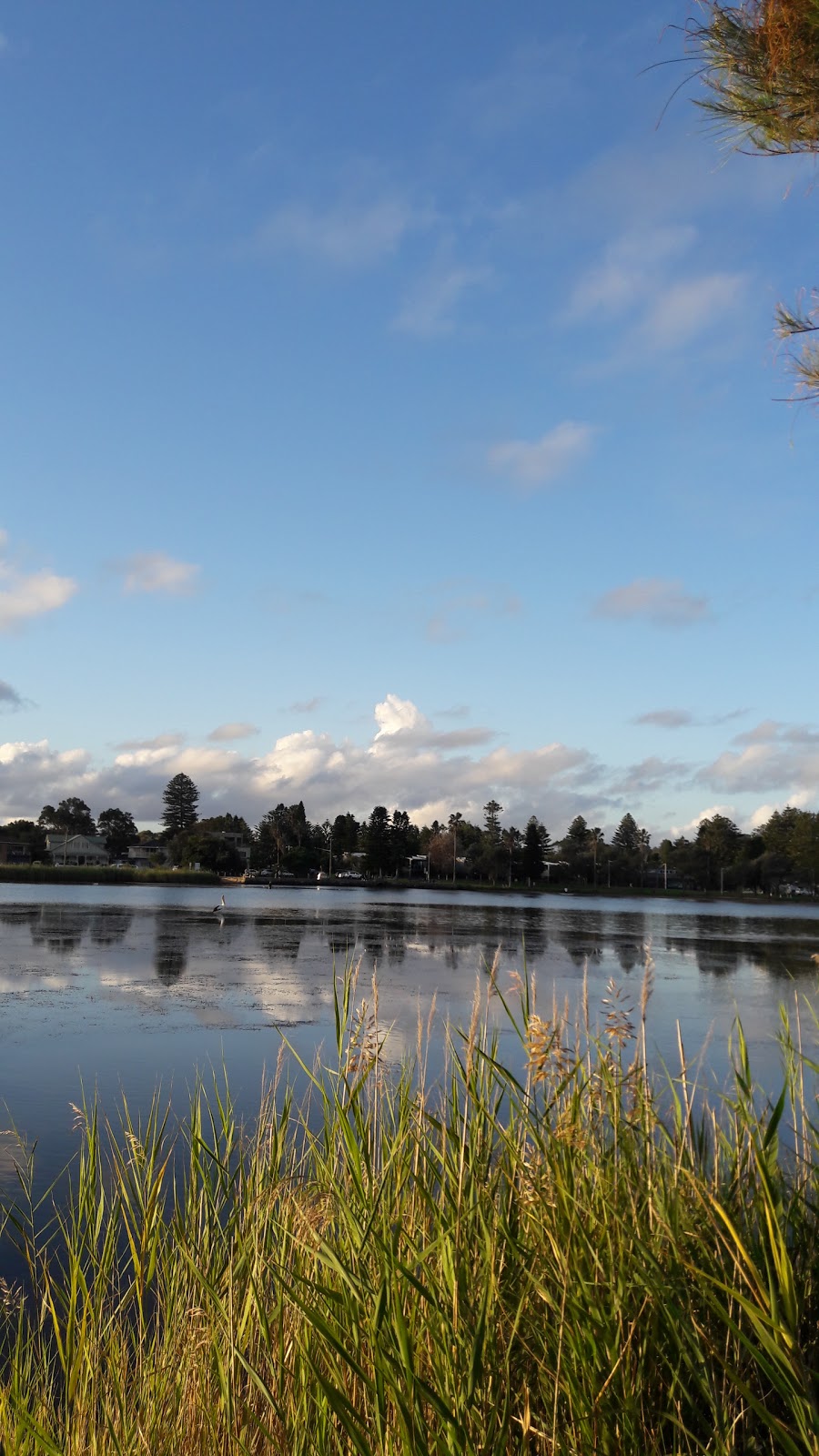 Lakeside Park | 39 Lake Park Rd, North Narrabeen NSW 2101, Australia | Phone: 1300 434 434