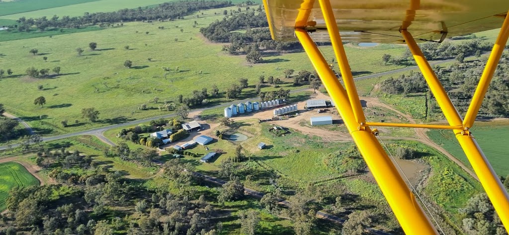 Flying with Grace | Building 7, Tom Perry Dr, Narromine NSW 2821, Australia | Phone: 0422 694 308