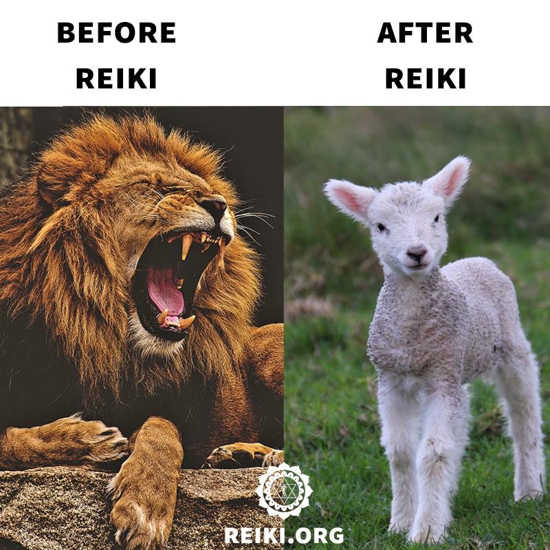 Kaleid-O-Scope Knowing Our Spirit | 77 Towong St, Tallangatta VIC 3700, Australia | Phone: 0450 383 050