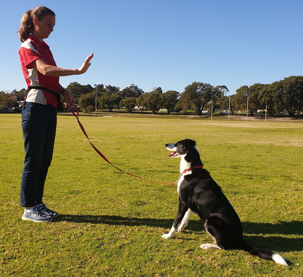 Dutchfield Dog Training |  | 6 Elliott St, Donnybrook WA 6239, Australia | 0423931120 OR +61 423 931 120