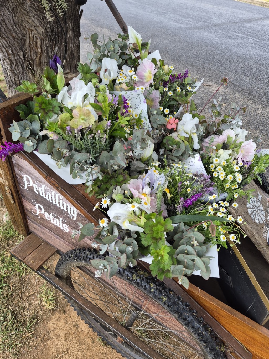 Dragonfly Designs flower cart & plant stall | 64 Mayne St, Gulgong NSW 2852, Australia | Phone: 0401 381 918