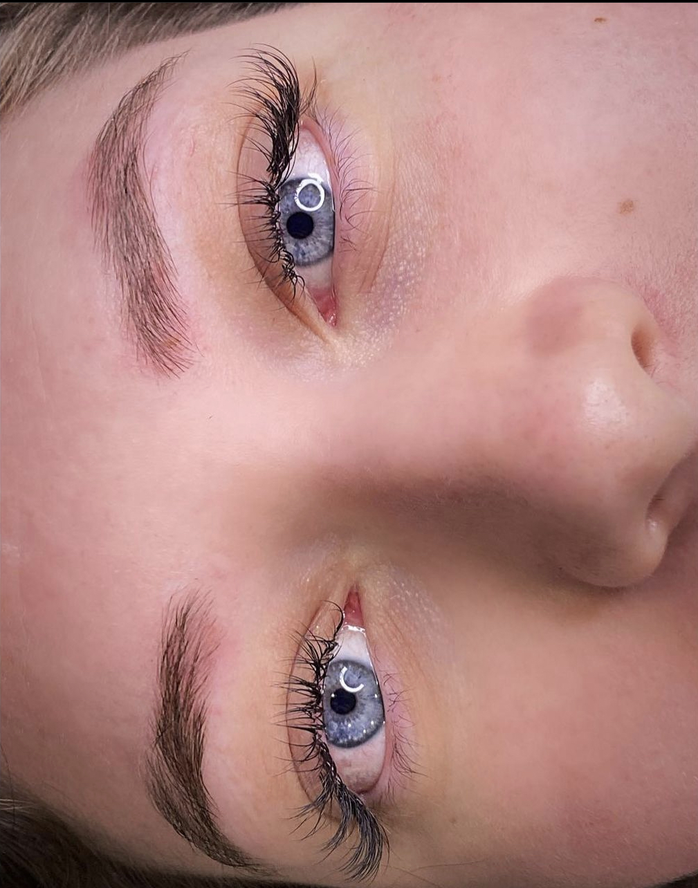 Cosmos Divine | 33 Wild Iris Terrace, Springfield Lakes QLD 4300, Australia | Phone: 0432 059 737