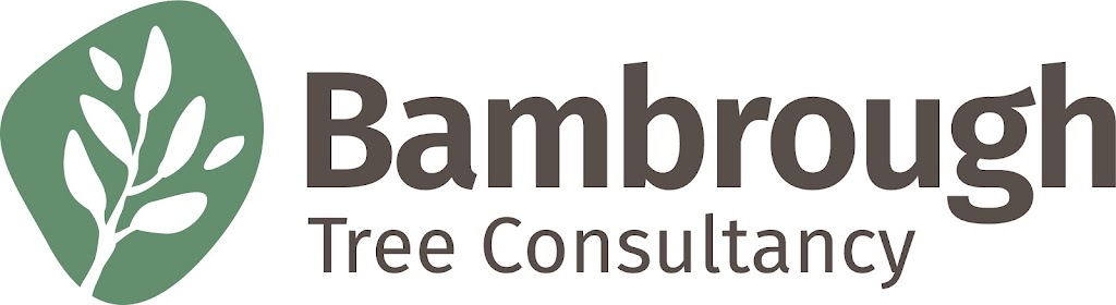 Bambrough Tree Consultancy | 26 Furness St, Kangaroo Flat VIC 3555, Australia | Phone: 0431 245 131