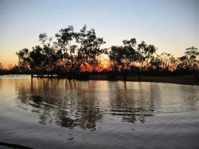 Kilcowera Station | Hungerford Road, Thargomindah QLD 4492, Australia | Phone: 0460 804 384