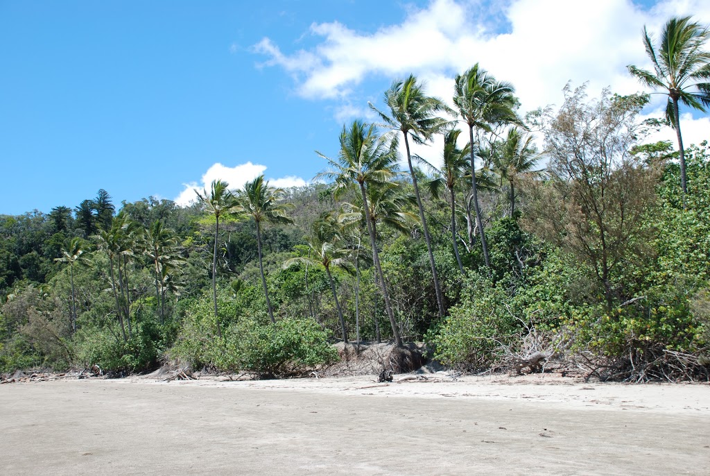 Cape Hillsborough Nature Tourist Park | 51 Risley Parade, Cape Hillsborough QLD 4740, Australia | Phone: (07) 4959 0152