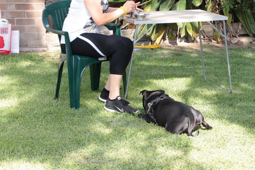 Polite Paws Dog Training, Puppy Preschool, Manners Classes & Beh | 213 Bexley Rd, Bexley NSW 2206, Australia | Phone: 0432 633 250