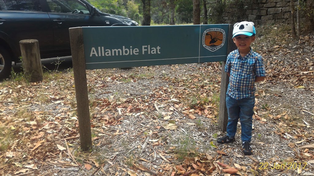 Allambie Flat picnic area carpark | parking | Unnamed Road, Royal National Park NSW 2233, Australia