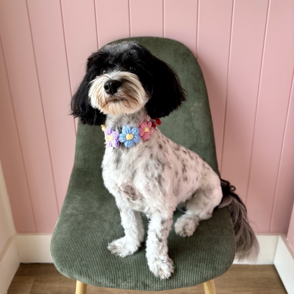Puppy Love Dog Grooming | 15 Honeybee Cres, Calderwood NSW 2527, Australia | Phone: 0468 921 883