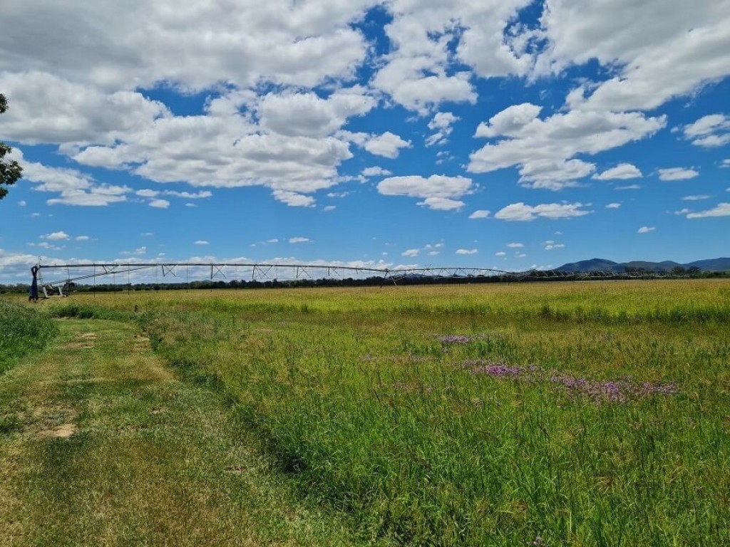 Para Park Hay & Pasture | 87 Edwards Rd, Pink Lily QLD 4702, Australia | Phone: 0437 429 352