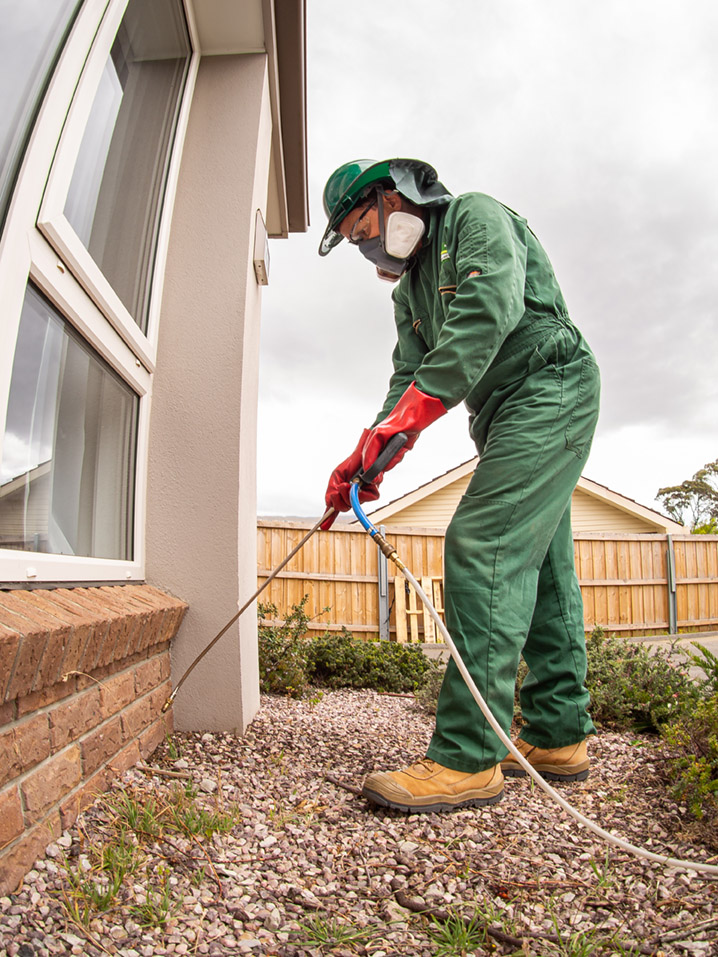 Pied Piper Pest Control | 542a Nelson Rd, Mount Nelson TAS 7007, Australia | Phone: 0415 819 602