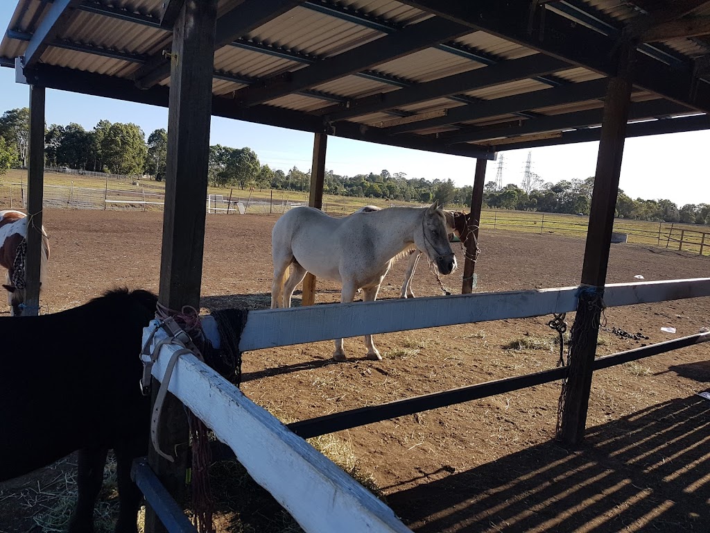 Horses In Mind Inc | 105 Ragnor Rd, Hemmant QLD 4174, Australia | Phone: 0413 314 428