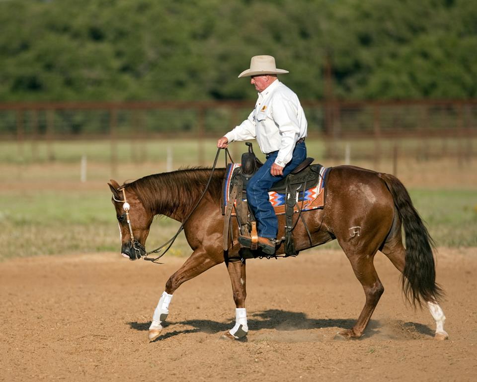 Ian Francis Horsemanship | 1014 Tingoora Chelmsford Rd, Chelmsford QLD 4606, Australia | Phone: (07) 4168 5444