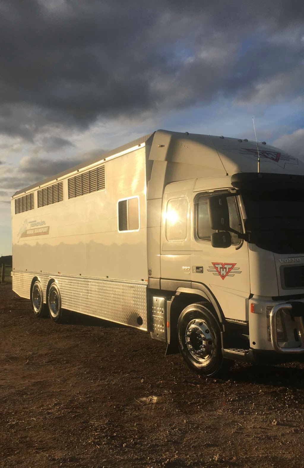 Tasmanian Horse Transport | Brooklyn, 1134 Melrose Rd, Lower Barrington TAS 7306, Australia | Phone: 0428 141 419